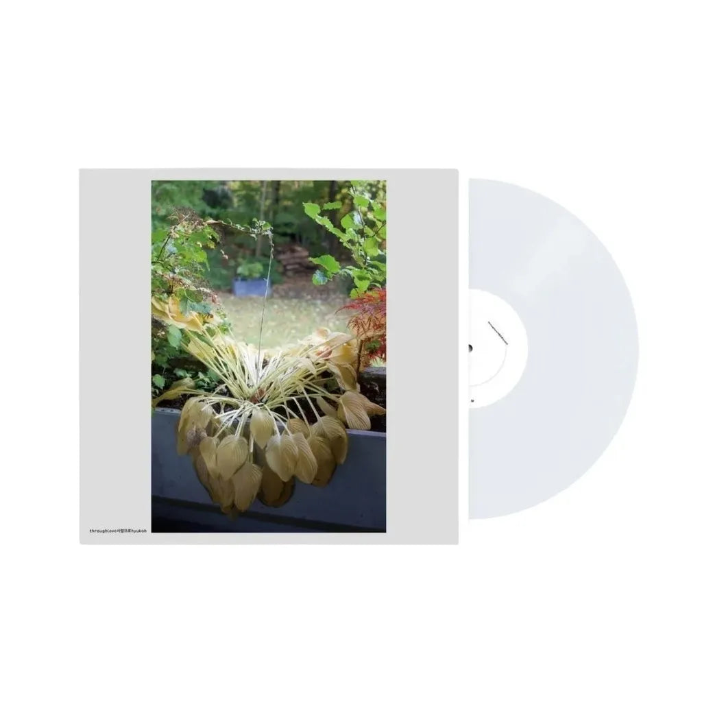 HYUKOH THROUGH LOVE VINYL LP レコード アナログ盤 HYUKOH - throughlove LP – Tiger Vault Records