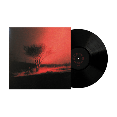 Joji - Piss In The Wind LP – Tiger Vault Records