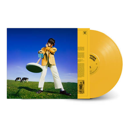 Declan Mckenna - What Happened To The Beach (Yellow) LP Vinyl Record