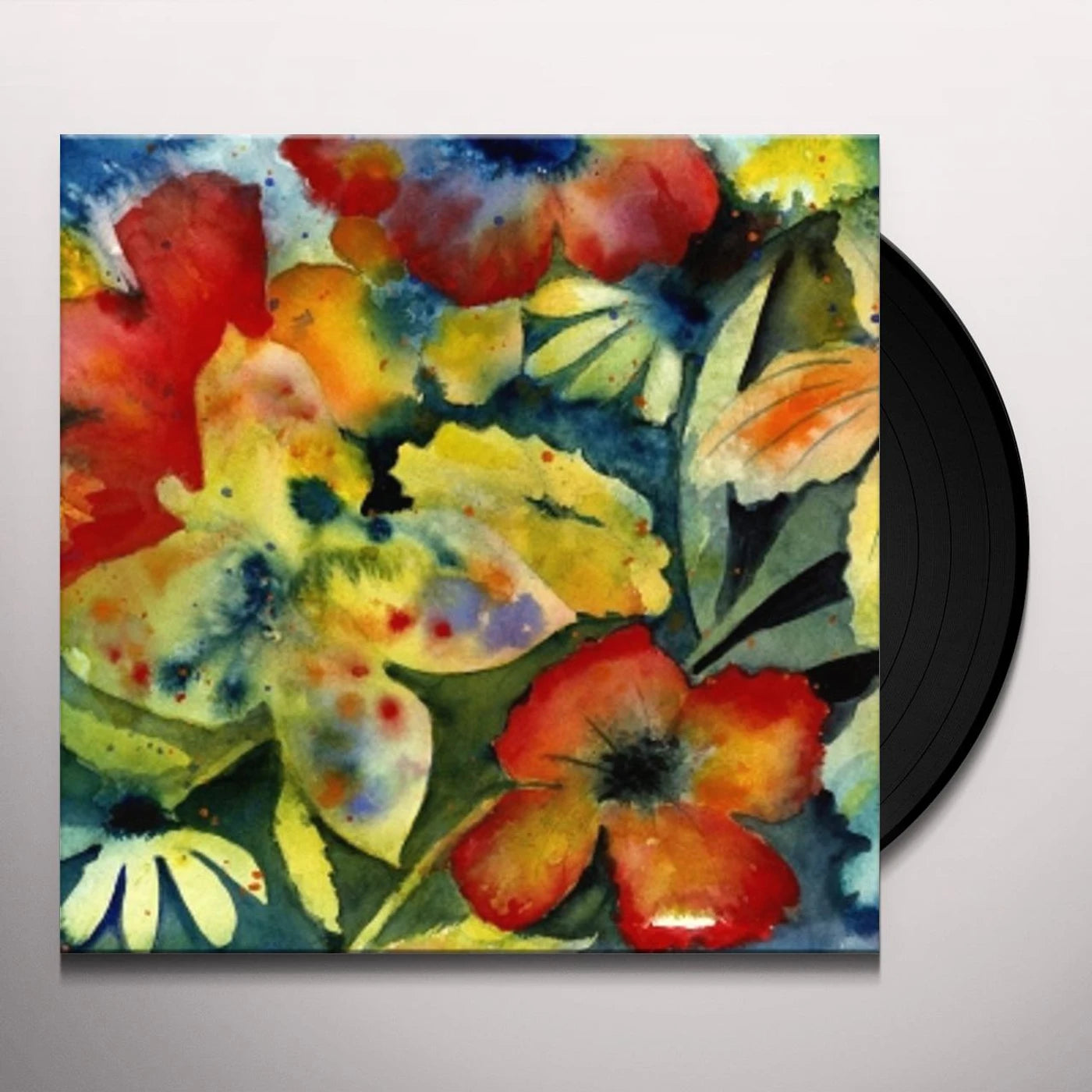 Adrianne Lenker - Songs And Instrumentals 2LP
