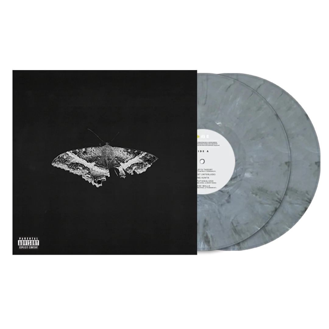 Kendrick Lamar - To Pimp A Butterfly 2LP (10th Anniversary Graphite)