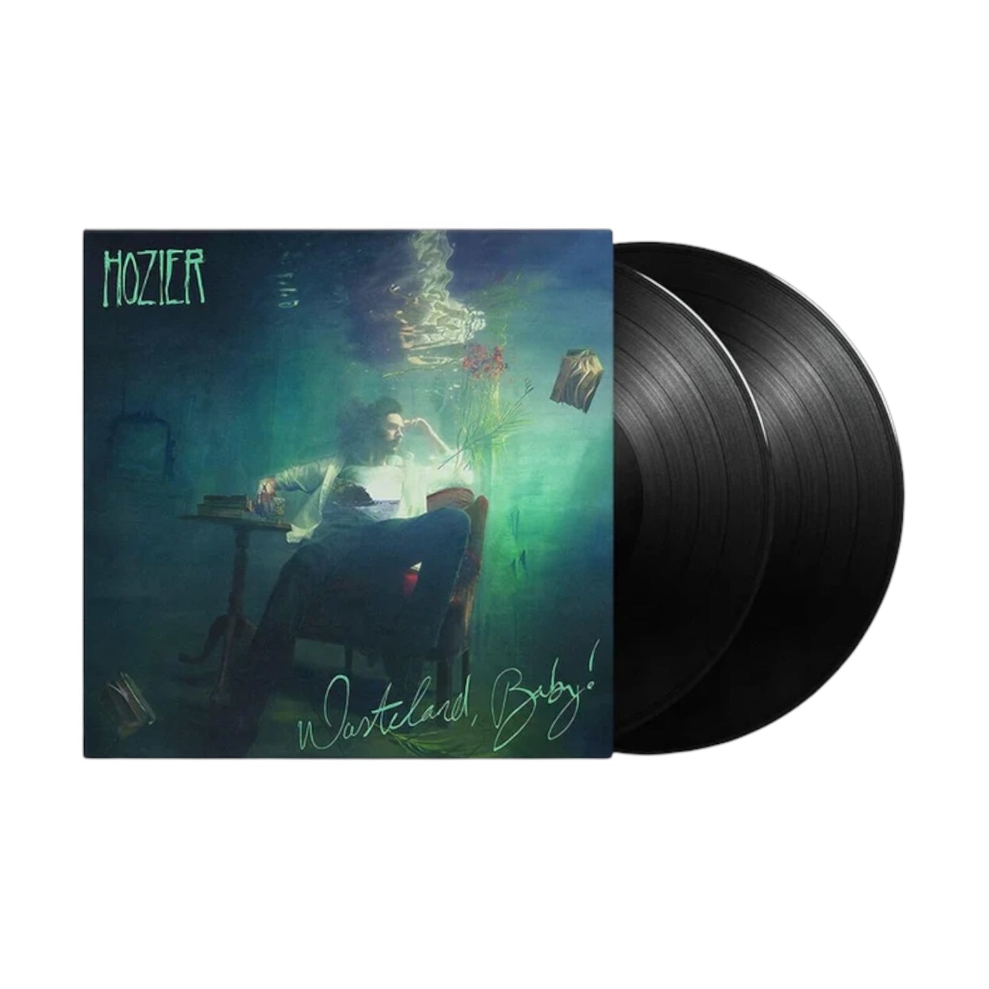 Hoizer - Wasteland, Baby! 2LP Vinyl Record