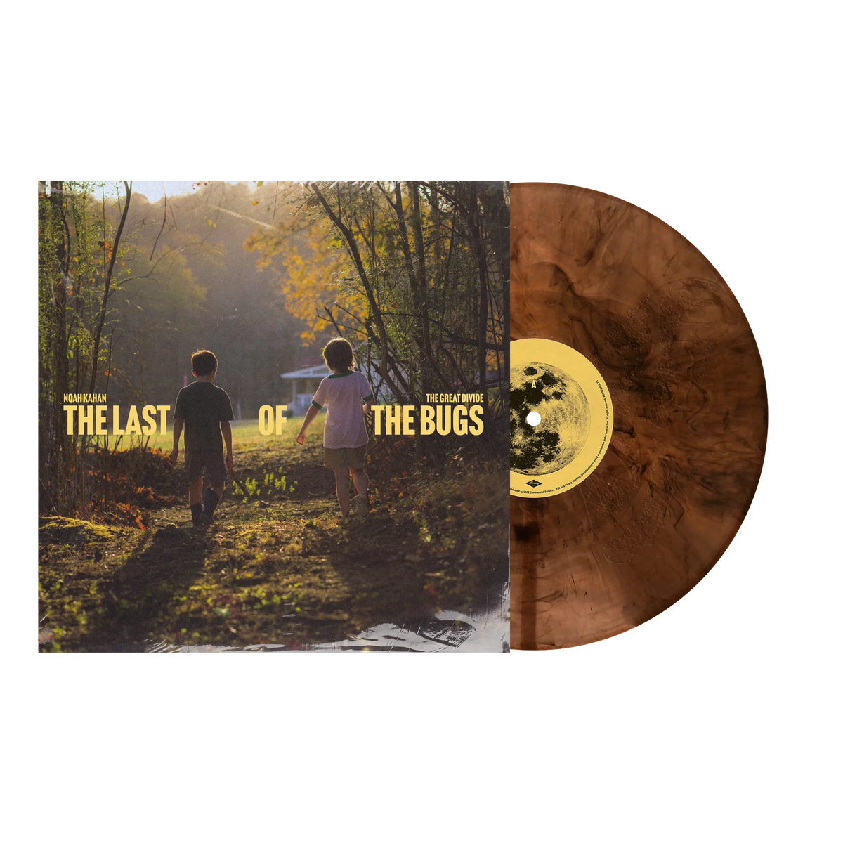 Noah Kahan - The Last Of The Bugs LP Vinyl