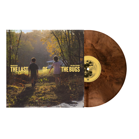Noah Kahan - The Last Of The Bugs LP Vinyl