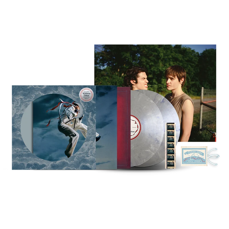 Conan Gray - Wishbone Deluxe (Moths Silver Edition) 2LP Vinyl