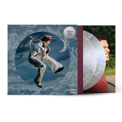 Conan Gray - Wishbone Deluxe (Moths Silver Edition) 2LP Vinyl