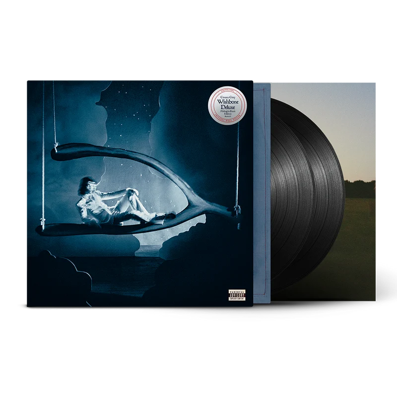 Conan Gray - Wishbone Deluxe 2LP Vinyl