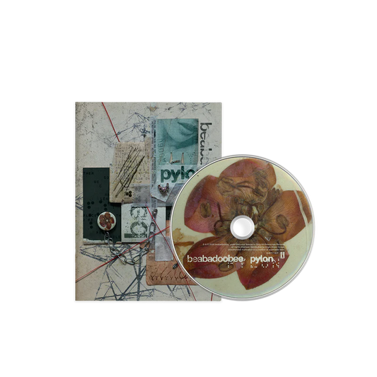Beabadoobee - Pylon CD Zine
