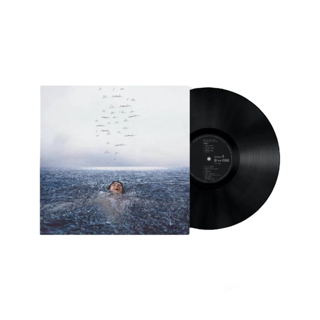 Shawn Mendes - Wonder LP